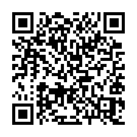 QR code for 205SYS