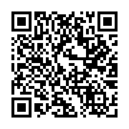 QR code for 206MKV