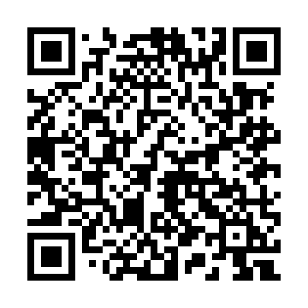 QR code for 211MMI