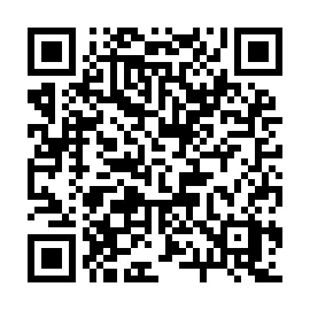 QR code for 213ICX