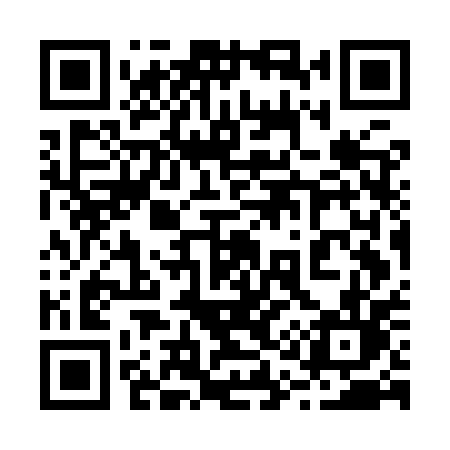 QR code for 217IPL