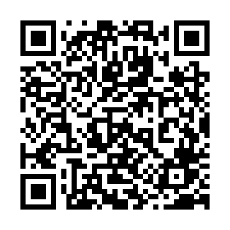 QR code for 217STV
