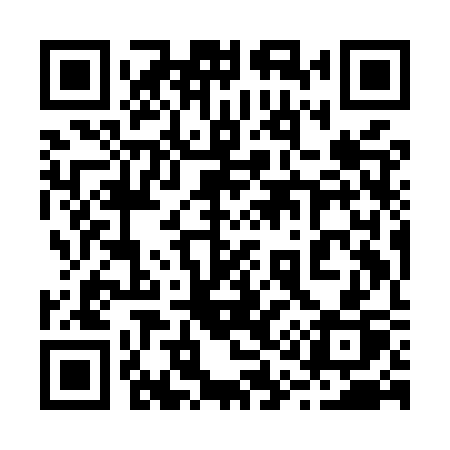 QR code for 219MSP
