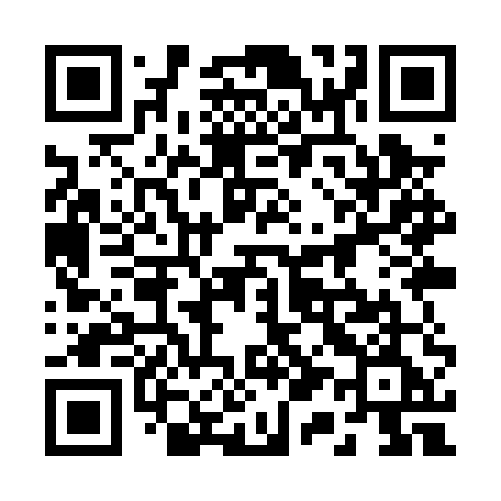 QR code for 219PUE