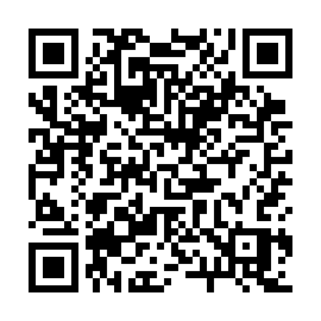 QR code for 219SCS