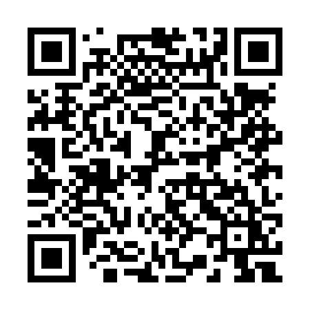 QR code for 221LZZ