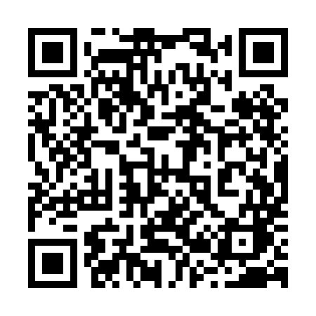 QR code for 221PMC