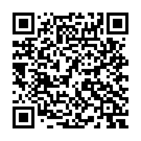 QR code for 225ETF