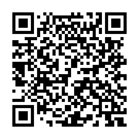 QR code for 225MTI