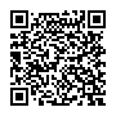 QR code for 225MXN