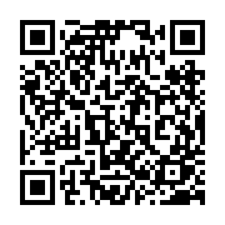 QR code for 225RDP