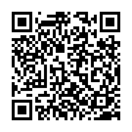 QR code for 225SAS