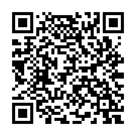 QR code for 225SPM