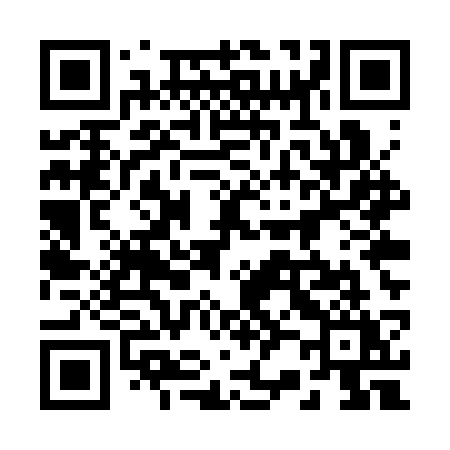 QR code for 225SSY