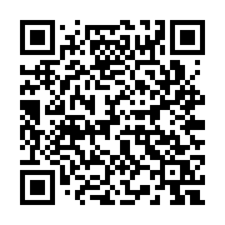 QR code for 225SWS
