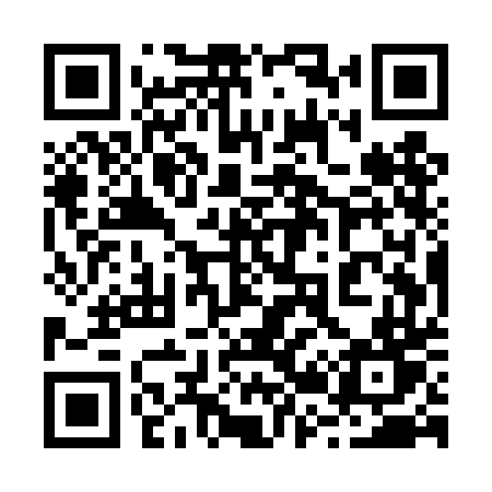 QR code for 225TDT