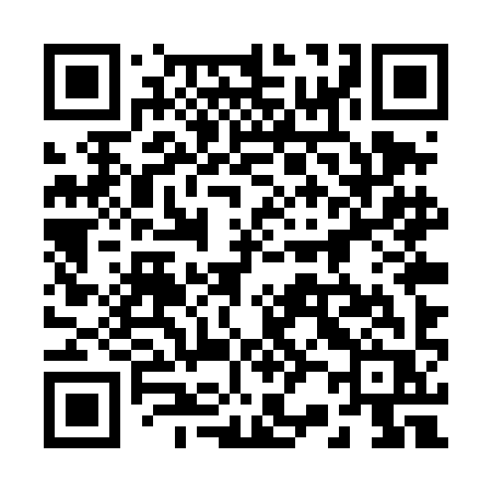 QR code for 225TIR