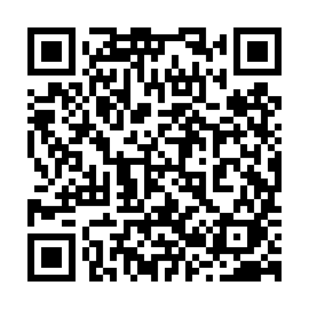 QR code for 228DYK