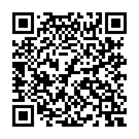 QR code for 228HEN