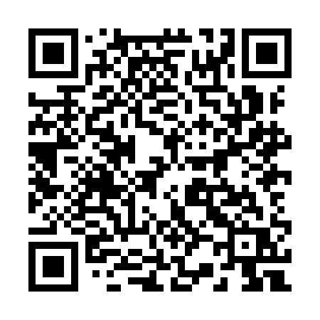 QR code for 228IAR