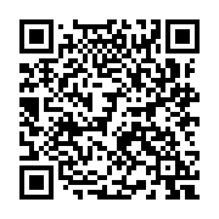 QR code for 228ICI