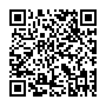 QR code for 228IDI
