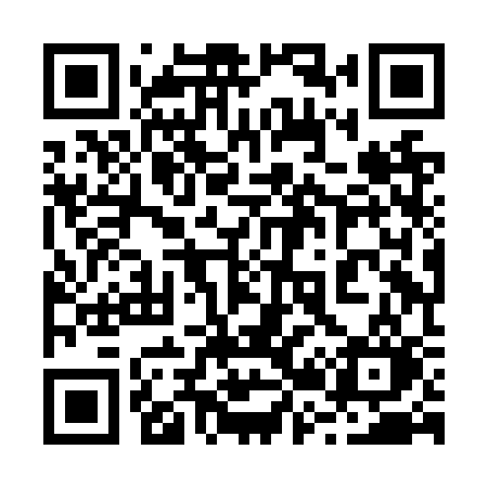 QR code for 228NSO