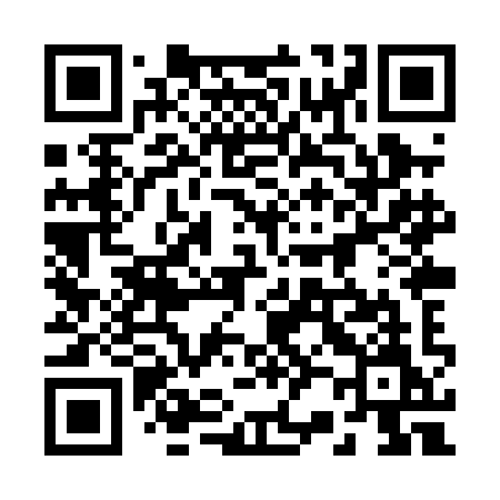 QR code for 228PIM