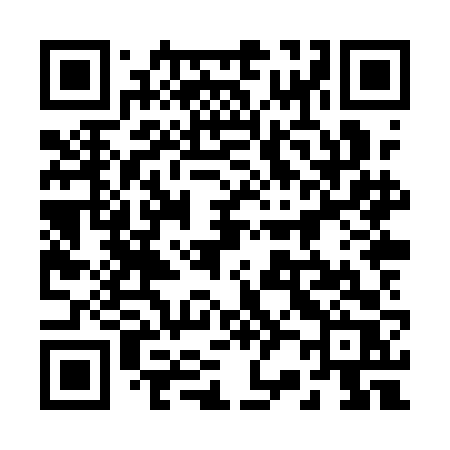 QR code for 228QFR