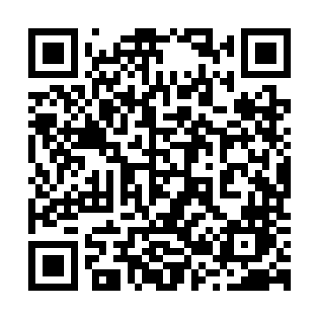 QR code for 228SNN