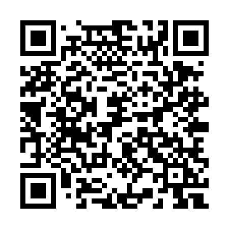 QR code for 228TLI