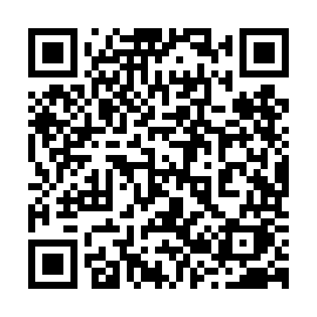 QR code for 228TOK