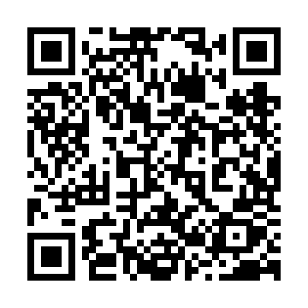 QR code for 228VOZ