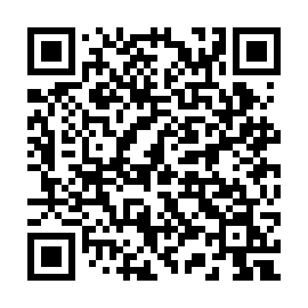 QR code for 233BGN