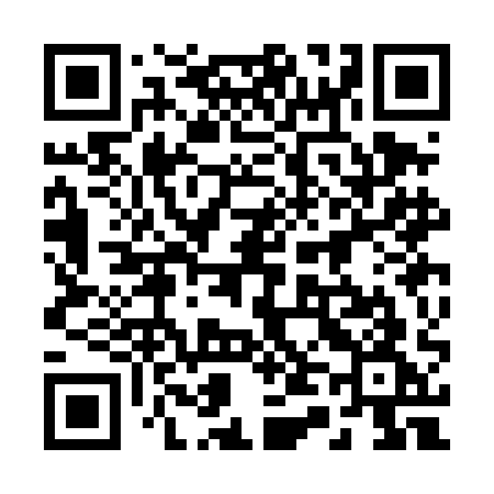 QR code for 243DAG