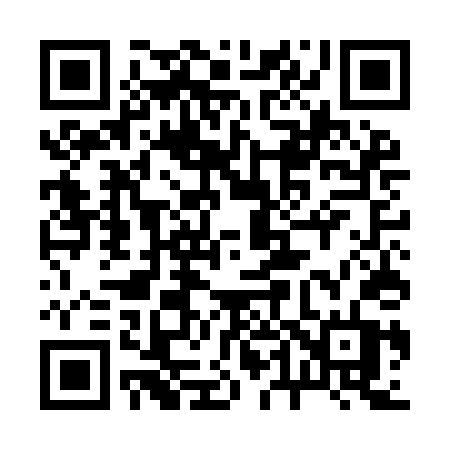 QR code for 245IDT