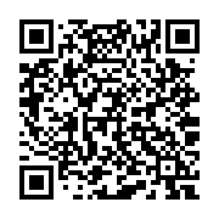 QR code for 246PZI