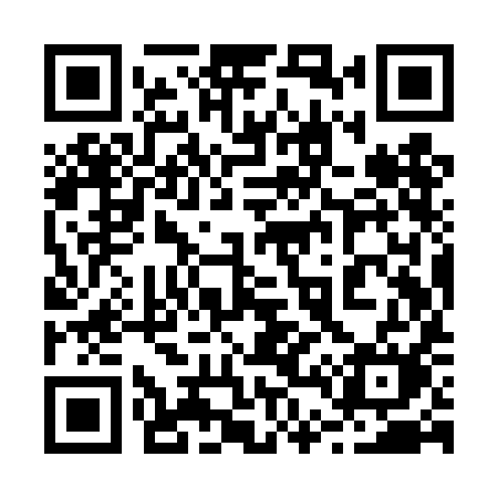 QR code for 249TIM