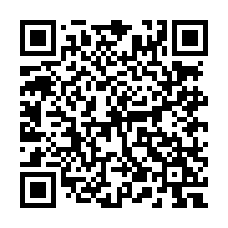 QR code for 251LLM