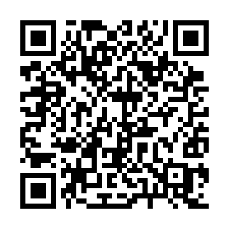 QR code for 253SIC