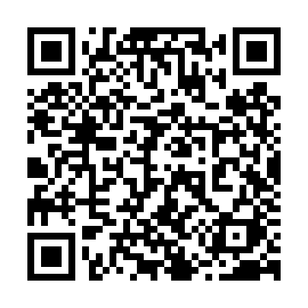 QR code for 256TZI