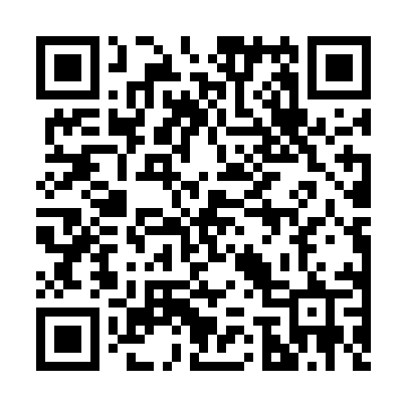 QR code for 272EMR