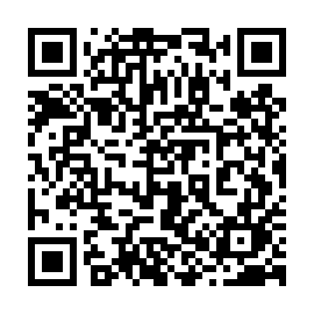 QR code for 287DUL