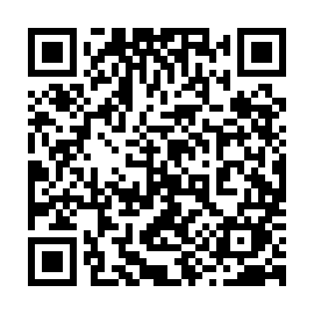 QR code for 290AMM