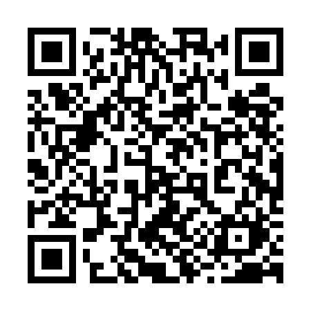 QR code for 290EBM