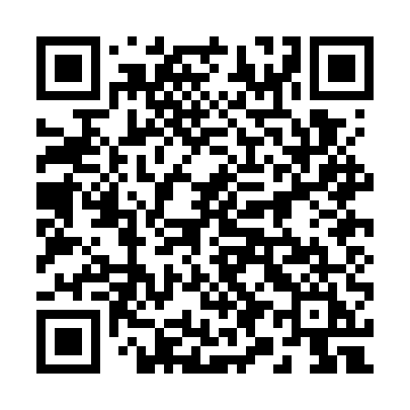 QR code for 290GUI
