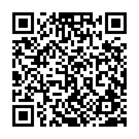 QR code for 290IBV