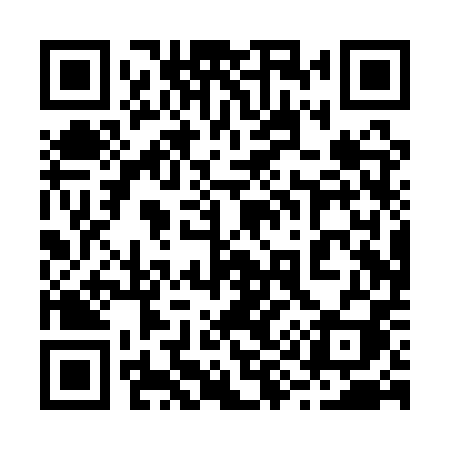 QR code for 290QPI
