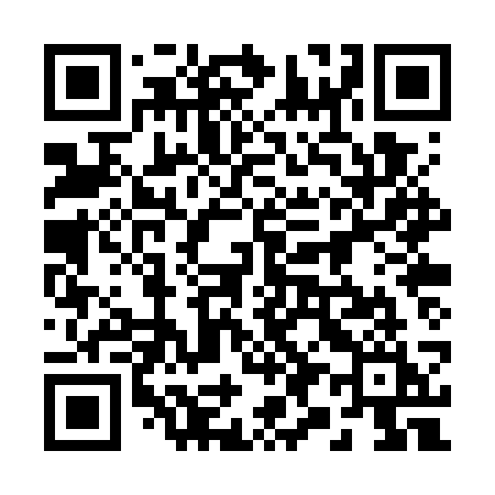 QR code for 290WSI