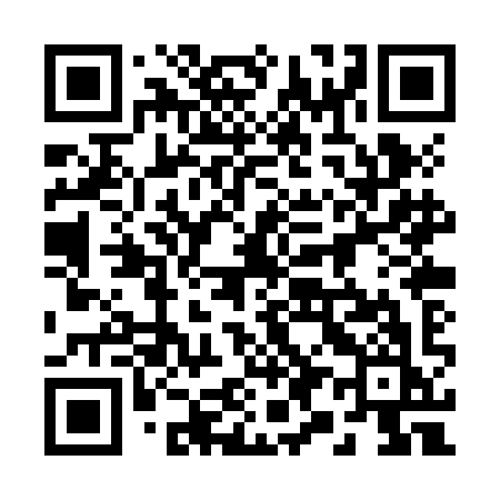 QR code for 290ZIK
